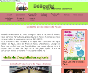 delicefig.com: Dlicefig    La figue sous toutes ses formes
Dlicefig  Piolenc en Provence,Producteurs de Figues Fraiches en Agriculture Bio. 8 varits comme la Longue d'aout, la Dauphine, la noire de Caromb ou la Violette Bourgeasotte  sont rcoltes de fin juin a fin octobre et transformes en Confiture ,Nectar de figues et plein d'autres choses encore.