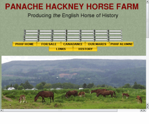 hackneyhorse.info: Panache Hackney Horses
Panache Hackney Horse Farm