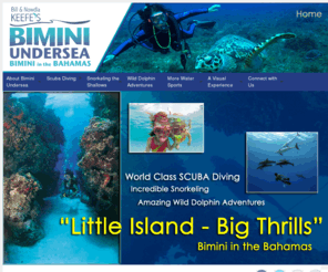 mysteriesofbimini.com: Bill and Nowdla's Bimini Undersea
SCUBA Diving Snorkeling and Wild Dolphin Adventures on the island of Bimini in the Bahamas. Bill and Nowdla Keefe's Bimini Undersea is a full service scuba and snorkeling operation located at the Bimini Bay Resort on North Bimini. Catering to both groups and individuals alike. Offering the utmost in scuba charters, wild dolphin excursions and snorkeling adventures for the entire family. We are dedicated to providing unparalleled customer service while at the same time adhering to the highest of safety standards. Providing a vacation experience that we promise will exceed your expectations.