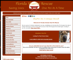 floridasharpeirescue.com: Florida Sharpei Rescue - Home
Florida Shar-Pei Rescue is a volunteer organization dedicated to providing a safe-haven to abandoned, neglected and abused SharPei throughout Florida and the Southeast / Sunbelt region.