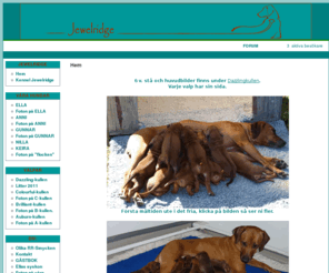 jewelridge.com: Kennel Jewelridge
Jewelridge