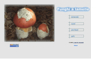 cercafungo.com: Home Page
Programma di ricerca di funghi a lamelle con relative schede e quiz finale