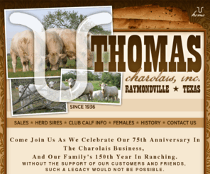 thomascharolais.com: Welcome to Thomas Charolais, Inc. — Raymondville, Texas | thomascharolais.com
