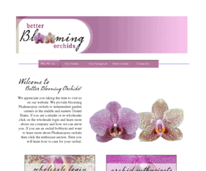 betterbloomingorchids.com: Better Blooming Orchids
Better Blooming orchids is a wholesale and retail seller of high-quality phaleanopsis orchids.  Cloning services are also a part of the business mix.