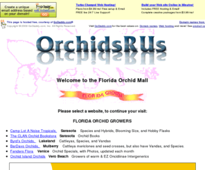 orchidsites.net: Florida Orchid Growers, Florida Orchid Mall, Orchid growers, Orchids FOGA,The Florida Orchid Mall - Everything in Florida Orchids
The portal for starting your search for orchid related material in Florida. An index of orchid Web sites in Florida with Orchid hybrids and species, from seedlings to blooming size, for the hobbyist of all interest levels.  The one site, providing the orchid enthusiast LINKs to the Web's resources to meet his/her orchid needs and interests, from Florida Orchid Growers,.