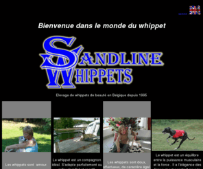 sandlinewhippet.com: SANDLINE WHIPPET - SANDLINE WHIPPETS
Sandline whippet, élevage de whippets de beauté . Notre but est des whippets heureux chez des propriétaires satisfaits.