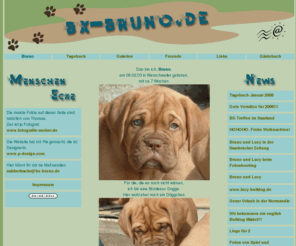 bx-bruno.de: Bordeaux Dogge Bruno
Bordeaux Dogge Bruno