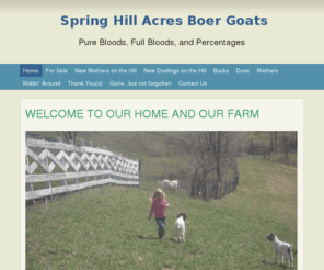 shaboergoats.com: Spring Hill Acres Boer Goats - Home
Fullblood, pureblood and percentage goats for sale for breeding, commercial and meat. We are located in SW PA just south of Pittsburgh. We sell wethers for 4-H.