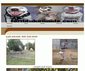 fortblukennels.com: Home Page
pit bull dogs breeding extra large pit bull puppies in west texas