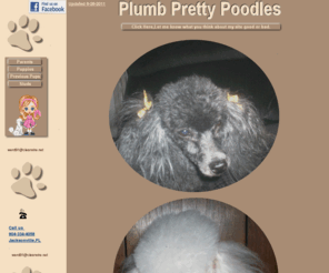 plumprettypoodles.com: Plumb Pretty Poodles of Florida,Toy poodles,Teacup poodles.
AKC Registered Toy Poodles Raised at Home for Pets and Companions .