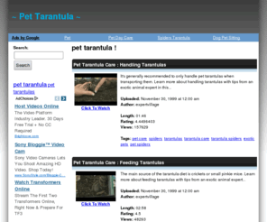 pettarantula.com: ~  Pet Tarantula  ~
~  Pet Tarantula  ~  - watch the latest and enjoy. ~  Pet Tarantula  ~ 