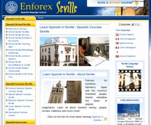 enforex-seville.com: Learn Spanish in Seville - Spanish Courses Seville - Study Spanish in Seville
Learn & study Spanish in Seville with our Spanish courses all year round for all levels and ages with accommodation and activities.