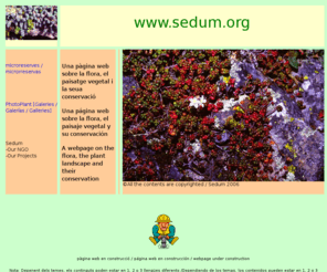 sedum.org: www
