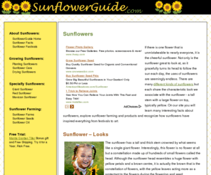 sunflowerguide.com: SunflowerGuide.com - Guide to Growing Sunflowers
SunflowerGuide.com provides information on growing, harvesting and caring for sunflowers.