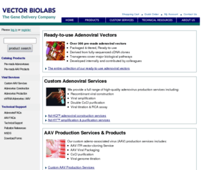 vectorbiolab.com: Vector Biolabs - Gene Delivery Company providing Adenovirus AAV Services
Vector BioLabs is recombinant adenovirus company providing robust gene delivery system. We offer large selection of pre-made adenovirus and provide custom service for adenovirus vector construction, virus generation, amplification, concentration, titration & RCA assay