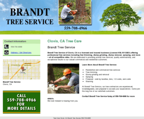 brandttreeservice.com: Tree Care Clovis, CA Brandt Tree Service 559-708-4966
Brandt Tree Service provides Tree Care service to Clovis, CA. Call 559-708-4966 For More Details.