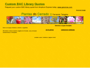 plantasdocerrado.com: Plantas do Cerrado
Plantas do cerrado. Ecologia, importncia, uso medicinal, plantas medicinais, plantas importantes, plantas do cerrado