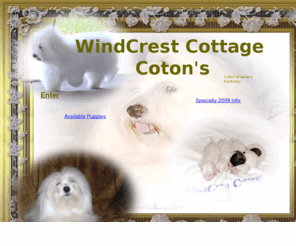 windcrestcottagekyusa.com: index
