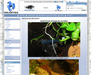 malanyika.com: Malanyika
Vente à distance de cichlidés et de nourriture pour poissons