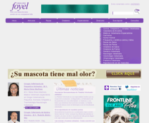 foyel.com: Foyel - portal con todo para tus mascotas y animales, perros y gatos
El mejor portal veterinario de mascotas y animales de habla hispana con mucha informacion