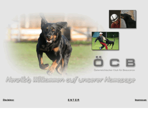 hunde.at: ÖCB - Österreichischer Club für Beauceron
Willkommen auf der Homepage des Österreichischen Club für Beauceron