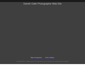 odeh.info: Sameh Odeh Photo Gallery
Sameh odeh photo gallery Birds in Qatar