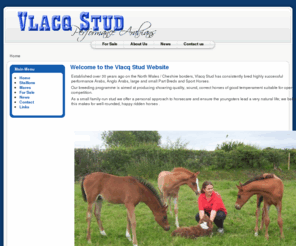 vlacqstud.co.uk: Welcome to the Vlacq Stud Website
Vlacq Stud