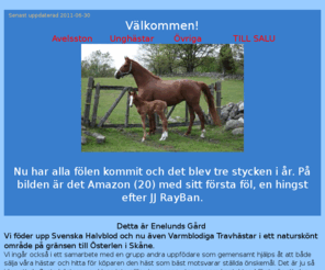 enelund.com: Start
Hästavel
Uppföddning
Hästar till salu
Highland Cattle
enelund.com
Amazon
Lady of the Lake
Antonius
Ares
Lexus
Lucifer
Sharona
Fenomen
Lamona
Fullblod
Skånegäss
Åsnor
Halvblod
Unghästar
Föl
Avel