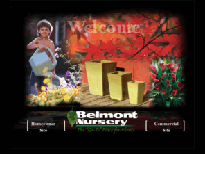 belmontnursery.com: Belmont Nursery Wholesale and Retail, Fresno California
 Belmont Nursery, Fresno and Central California's premiere garden center and grower,is where professional gardeners, landscapers go to for advice and the best plants, trees, flowers, ornamental shrubbery and garden supplies.