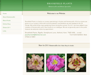 brookfieldplants.com: Home - Brookfield Plants
Hemerocallis, Hosta and Agapanthus online shop