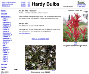 hardybulbs.com: Hardy Bulbs - Hardy Bulbs
