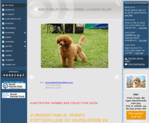 merubas-kennel.com: Min forside - www.merubas-kennel.com
Min forside - www.merubas-kennel.com