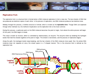 replicationfork.com: Replication Fork | DNA Replication Forks
Learn about the replication fork and DNA replication, here at ReplicationFork .com.