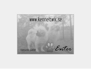 kenneltwix.se: Kennel Twix ~ Tibetansk spaniel
Kennel Twix ~ Tibetansk spaniel