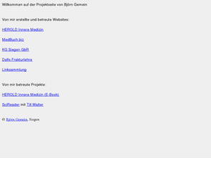 bjoern.com: Informationsseite - Projektübersicht
