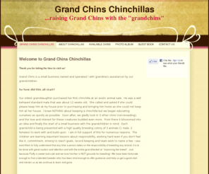 grandchins.com: Grand Chins Chinchillas Home
Welcome to Grand Chins Chinchillas!
Raising Grand Chins with the 