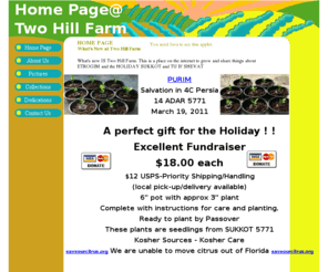 twohillfarm.com: Purim ETROG TREE TwoHillFarm Purim-  Esrog Sukkot Sukkah Succot Succah Lulav
Grow etrog trees and etrogim, research etrog history and products, collect etrog and Sukkot related items, develop etrog products and uses, leave a dedication message for a loved one or life cycle event. tu b'shevat, purim