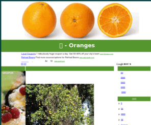 xn--gew.net: 橘 - Oranges
橘（学名：Citrus reticulata）或称橘子，是芸香科柑桔属的一种水果。“橘”（jú）和“桔”（jié）都是现代汉语规范字。由于在广东的一些方言中二字同音，“桔”又曾做过“橘”的二简字，故大陆已经将“桔”作为了“橘”的通俗写法。台语称橘为柑仔。西南官话区的各方言中呼为“柑子”或“柑儿”。

“柑橘”与“橘柑”不同：“柑橘”可以指柑橘属所有水果，包括柚、柑、橘、橙等；而“橘柑”在有些方言中和橘子同义。

柑和橘都属于芸香科柑橘属的宽皮柑橘类，果实外皮肥厚，内藏瓤瓣，由汁泡和种子构成。李时珍在《本草纲目·果部》中记载：“橘实小，其瓣味微醋（即酸），其皮薄而红，味辛而苦；柑大于橘，其瓣味酢，其皮稍厚而黄，叶辛而甘。”一般说来，柑的果形正圆，黄赤色，皮紧纹细不易剥，多汁甘香；橘的果形扁圆，红或黄色，皮薄而光滑易剥，味微甘酸。柑和橘虽有区别，但在日常语言中常混用，如广柑也说广橘，蜜橘也说蜜柑。

橘和枳也不相同。《晏子春秋·内篇杂下》记载了“橘化为枳”的寓言，晏婴说：“橘生淮南则为橘，生于淮北则为枳，叶徒相似，其实味不同，所以然者何，水土异也。”比喻由于环境的影响，人的习性也会由好变坏。然而，虽然橘和枳都属于芸香科，但橘属于柑橘属，枳则属于枳属，两者并非一类，橘即使生于淮北，也不会变成枳。

橘子中的维生素A还能够增强人体在黑暗环境中的视力和治疗夜盲症。橘子不宜食用过量，吃太多会患有胡萝卜素血症，皮肤呈深黄色，如同黄疸一般。明代张岱季叔张烨芳对橘子情有独钟，据载其“性好啖橘，橘熟，堆砌床案间，无非橘者，自刊不给，辄命数僮环立剥之”，吃到手脚都呈现黄色。