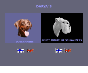 daryas.net: Darya´s Dobermanns & White Miniature Schnauzers

