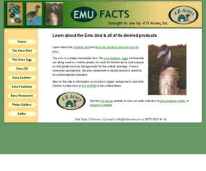 emufacts.com: Emu Facts, learn about this fantastic bird and products
Learn about this fantastic bird and all of the products derived from the emu, a totally marketable bird. Emu feathers, eggs and toenails are used as creative jewelry accents for fashion items and unique craft goods for fine artistic paintings.