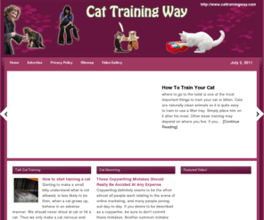 cat training