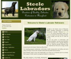 steelelabradors.com: Maryland MD Labrador Retriever Breeders - Steele's Labradors
Labrador Retriever Dog & Puppy Breeders - Steele Labradors in Maryland are Labrador Retriever breeders offering healthy, home raised Labrador Retriever Puppies for sale. Labrador Retriever puppies can be shipped to approved homes within the USA and Canada. 