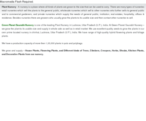 gpsnursery.com: Saurabh Kitchen Plant Nursery, Tree, Climbers, Shrubs, House Plants, Agricultural Plant Nursery Suppliers Traders, Lucknow,  Uttar Pradesh, (U.P.),  India.
Saurabh Kitchen  Plant Nursery, Tree, Climbers, Shrubs, House Plants, Agricultural Plant Nursery Suppliers Traders, Lucknow,  Uttar Pradesh, (U.P.),  India.