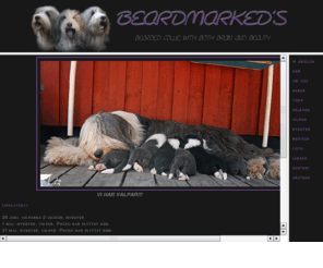 beardmarkeds.com: index
