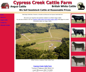 black-angus.net: Black Angus Cattle Production, Sales, Information and Resources
Black Angus cattle information and resources for the Angus Cattle Rancher or Farmer and black angus cattle sales located in North Alabama.