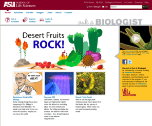 askabiologist.org: Ask A Biologist | ASU - Ask A Biologist
Ask A Biologist Front Page. Arizona State University question and answer resource for K-12 students and their instructors.