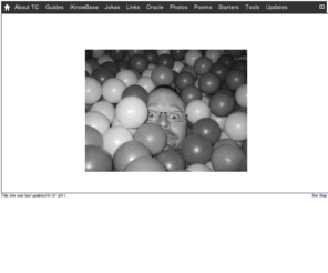 toreingolf.net: TC's Container
TC's Container by Tore Ingolf Christoffersen contains TCutilities, Programmer Humor, Computer Jokes, Norwegian Poems and Cool WWW Links