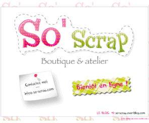 so-scrap.com: www.so-scrap.com
