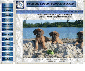 rawert-doggen.de: Deutsche Doggen vom Hause Rawert
