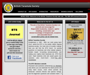 thebts.co.uk: British Tarantula Society
The British Tarantula Society, the largest and oldest tarantula society in the world.The aim of the British Tarantula Society is to promote and encourage the
Responsible husbandry, research, captive breeding, conservation and
General knowledge of theraphosids, scorpions and associated fauna